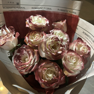 面费黄色毛片不用播放器播放
